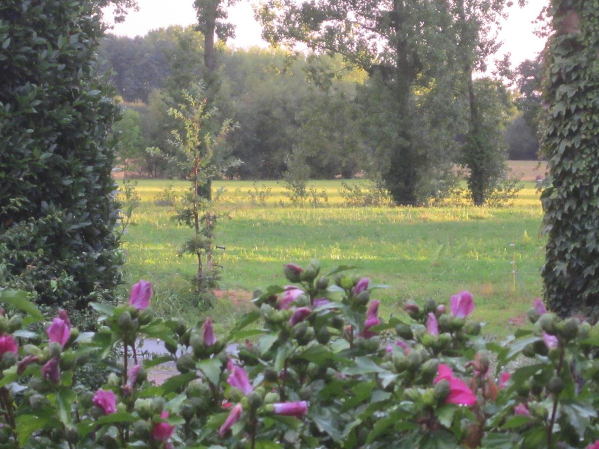 Domaine De La Fontaine Bed & Breakfast Chavagne ภายนอก รูปภาพ